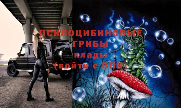 ешки Бронницы